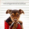 A Dogs Way Home 2019 1080p BluRay x264-OFT thumb