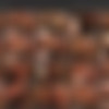 SheMuscle.com Feb 2011 Siterip thumb