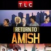 Return To Amish S03 1080p HULU WEB-DL AAC2 0 H 264-NTb thumb