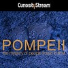 Pompeii The Mystery of the People Frozen in Time 2013 1080p WEBRip x264-CBFM thumb