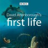 David Attenborough's First Life (2010) Season 1 S01 (1080p BluRay x265 HEVC 10bit AAC 2 0 afm72) QxR thumb