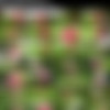 [req][Beshine.com] Siterip Update thumbnail