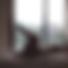 [Petracentral.com] 2017-10-14 Petra Verkaik - Shadow & Silhouette [Solo, Brunettes, Erotic, Big tits, Posing] [1080p, SiteRip] thumb
