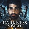 Darkness Visible [2019] / H264 / MKV / WEB / 1080p / AC3 / Subs / NTG thumb