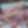 [FERRONETWORK.com/KissMatures.com] Amelia B, Aubrey (g610) [720p,SATRip/2013 ., Milf,Blondes,Small Tits,Lesbians,Oral,Kissing,Strapon,Stockings] thumbnail
