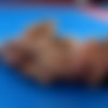 [dirtywrestlingpit.com] The Dirty Wrestling Pit - Collections of 37 Clips / -    - 37  [2021-2023 ., Mixed Wrestling, Fighting, FemDom, FaceSitting, Forced handjobs, 720p, 1080p, SiteRip] thumbnail