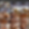 PornWorld.com 2020-09 SiteRip Update thumb