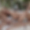[WowGirls.com / WowFandom.com] Anjelica, Gina Gerson ( The Hottest Pickup. RED / 11.06.16) [2016 ., Blonde, Blowjob, Creampie, FFM, Handjob, Hardcore, Masturbation, Threesome, 1080p] thumb
