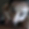 [ATKGirlfriends.com] Emily Willis (Virtual Vacation Big Island 3/13) [2019 ., Creampie, POV, Blowjob, Handjob, Footjob, All sex, 1080p] thumb