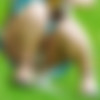 [zasvetik.ru]     [Upskirts, Voyeur, Exhibitionism] [ 430450  23363504, 1589] thumb