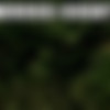 CFNM.net - Megapack thumb
