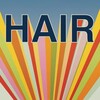 Hair [1979] / H264 / MKV / Blu-ray / 1080p / AC3 / Subs / OFT thumb