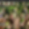 [BitchStop.com] Full SiteRip JAN 2018 - The Real European Hitchhikers thumbnail