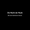 Die Macht der Musik 200 Jahre Beethovens Neunte 2024 GERMAN DOKU 720p WEB x264-TMSF thumb