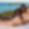 [Blacked.com] VikaLita (Caribbean Surprise) [05.03.2020, Brunette, Blowjob, Reverse Cowgirl, Riding, Doggystyle, Prone Bone, Pussy Licking, Missionary, Facial, 720p] thumb