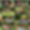 [CzechGardenParty.com / CzechAV.com] CZECH GARDEN PARTY 1 (2014 .) [Group Sex, Hardcore, Party, Orgy, Swingers, Amateurs, Outdoors] thumb