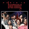 Paris Is Burning [1991] / H264 / MKV / Blu-ray / 1080p / FLAC / Subs thumb