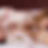 [WowGirls.com] Dulce, Sofilie - High Passion Drive [2023-10-31, 69, Brunette, Interracial, Lesbian, Lingerie, Masturbation, Pussy Licking, Redhead, Shaved Pussy, 60FPS, 1080p, SiteRip] thumb