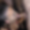 [SplatBukkake.com / UKxxxPass.com] Gigi Rouge, Amelia Grace, Evangeline Love, Niki, Tatty Tyler - 2021 Christmas bukkake - Part 1 (SB 158) (03.03.2022) [2022, Bukkake, Brunette, Blonde, Redhead, MILF, Big Tits, Tattoo, Piercing, Blowjob, Handjob, Facial, 720p] thumb