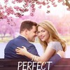 The Perfect Bride 2017 1080p AMZN WEB-DL DDP 2 0 H 264-EDGE2020 thumb