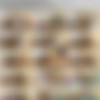 SpecialExamination.com [Siterip till August 2011] thumbnail