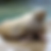 [Playboyplus.com] 2023-03-17 Alexis Texas - Natural Needs [Solo, Posing, Lingerie] [1080p] thumb
