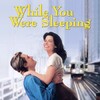 While You Were Sleeping [1995] / H264 / MKV / Blu-ray / 1080p / AC3 / Subs / playHD thumb