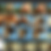 Video Siterip of Paingate.com up to September 2019 thumbnail