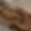 [IFeelMyself .com] Orgasm compilation (September 2015) [2015 ., Masturbation, Amateur, Solo, Toys, Lesbian,Hairy, CamRip] thumb