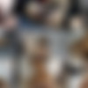 [OnlyFans.com] hayleyxyz (211) MegaPack [2020-2021, Straight, Oral, BlowJob, Facial, Big Ass, Asian, Teen, Solo, Toys, Creampie, 2160p, 1080p] thumb