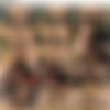 facefucking.com/facialabuse.com contiuaton SD scenes 450-492 thumb
