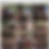 [MilfsLikeItBig.com / Brazzers.com] Vanessa Blue (Poolside Putachen / 28.12.11) [2011 ., Big Tits, Deep Throat, Interracial, Black, Doggystyle] thumb