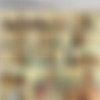 SpecialExamination.com [Siterip till August 2011] thumbnail