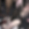 [SplatBukkake.com / UKxxxPass.com] Aurora Frost, Talula Thomas - Talula is back for more cum in her face (SB 152) (23.12.2021) [2021, Bukkake, Brunette, Mature, Big Tits, Tattoo, Piercing, Blowjob, Handjob, Balls Sucking, Cum on Tits, Cum in Mouth, Cum on Face, 4K, 2160p] thumb