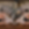 [VRCosplayX.com] Alexis James - Black Swan A XXX Parody [12.12.2024, Blowjob, Brunette, Cowgirl, Doggy Style, Facial, Missionary, Reverse Cowgirl, Tattoos, Virtual Reality, SideBySide, 8K, 4096p, SiteRip] [Oculus Rift / Quest 2 / Vive] thumb