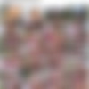 [PrivateStars.com / Private.com] Geishakyd aka Geisha Kyd - Geishakyd, Fucked by the Pool (16.10.2021) [2021 ., Blowjob, Brunette, European, Facial, Outdoor, Supermodel, Vaginal Sex, 360p] thumb