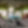 [VirtualRealTrans.com] Sabryna Petruthelly (Garden of Eden) [2024, Transsexuals, Shemale, Male on Shemale, Shemale on Male, Anal, Hardcore, VR, 5K, 3D, 180, 2700p] thumb