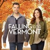 Falling for Vermont [2017] / H264 / MKV / WEB / 1080p / AC3 / Subs / EDGE2020 thumb