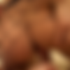 Vanessa Mae Megapack thumb
