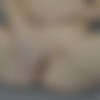 [CzechOrgasm.com / Czechav.com] Czech Orgasm 73 [2016 ., Masturbate, Orgasm, Solo, CloseUp, HDRip, 720p] thumb