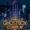 Ghostbox Cowboy 2018 1080p WEB-DL H264 AC3-EVO thumb