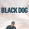 Black Dog [2024] / H264 / MP4 / WEB / 1080p / AAC / Chinese / GPTHD thumb