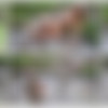 [MudPuddleVisuals.com / MPV] Mud Trippers Seven /  7 [2011 ., mud trippers, mud puddle, wam messy, leasbian, masturbate, DVD] thumbnail