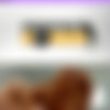 {AssTraffic} Veronica Leal ~ Nov 30, 2019 HD720p thumb