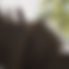 [PlayboyPlus.com] Kit Rysha - Calming Rose 09.08.2019 [Erotic] [1080p] thumb
