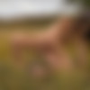 [FemJoy.com] 2020-05-09 Demi Fray - Dandelion [Posing, Erotic, 1080p] thumb