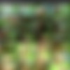 Carla Cruz (20) (Sandrita) Pack [2006-2017, Facial, A2M, Teen, Latina] thumb