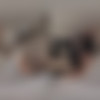 [SexBabesVR.com] Elena Vedem - Unscheduled Visit [15.03.2025, Blowjob, Brown Hair, Brunette, Clothed Sex, Cowgirl, Cum On Pussy, Cumshot, Doggy Style, Footfetish, Footjobs, Girl-boy, Hardcore, High Heels, Kissing, Lingerie, Long Hair, Missionary, Pov, Pussy Licking, Reverse Cowgirl, Sexy Dress, Shaved Pussy, Small Tits, Virtual Reality, SideBySide, 8K, 4096p] [Oculus Rift / Quest 2 / Vive] thumbnail