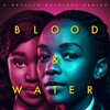 Blood and Water 2020 S01 COMPLETE 720p NF WEBRip x264-GalaxyTV thumb