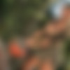 [720p] [DDFBusty.com(13) / HotLegsAndFeet.com(1) / DDFprod.com] (14 ) Ines Cudna (6876, 6875, 6874, 6873, 6872, 6871, 50124, 50126, 50127, 50128, 50130, 50140h, 9181, 9182) [2008 ., Big tits, HDTV] thumb